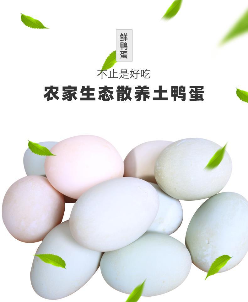 汶优香(wenyouxiang)蛋类 [顺丰]大个新鲜鸭蛋青壳农家散养土鸭蛋生鸭
