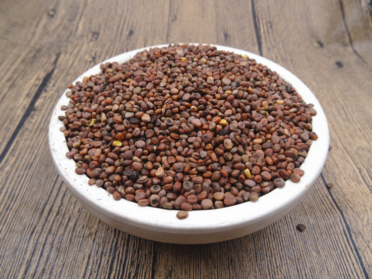 三子养亲汤540克炒莱菔子炒紫苏子炒白芥子各180克三籽养亲汤