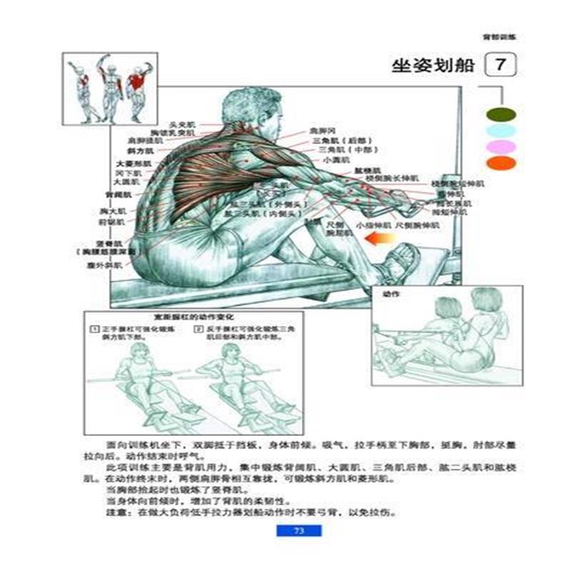 肌肉健美訓練圖解(版) 9787533158842