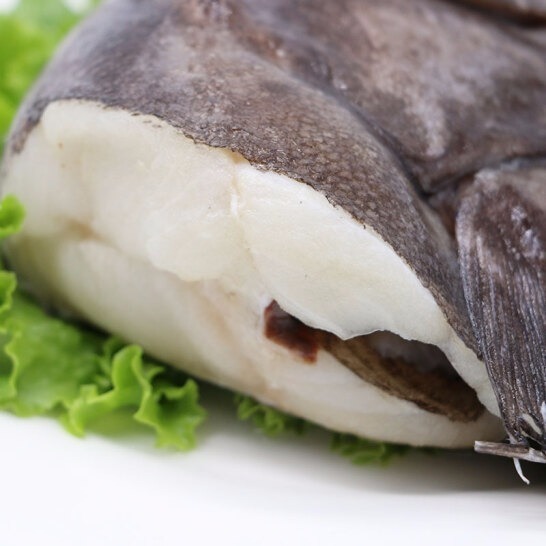 碟鱼 白鲽鱼 二去碟鱼 新鲜海鲜 鲜活水产 海鲜 鱼