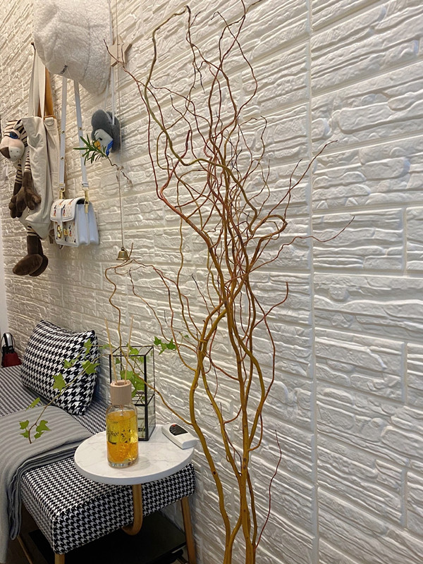 龙柳花家庭客厅场所摆设艺术造型装饰摄影背景干树枝云南直发鲜枝