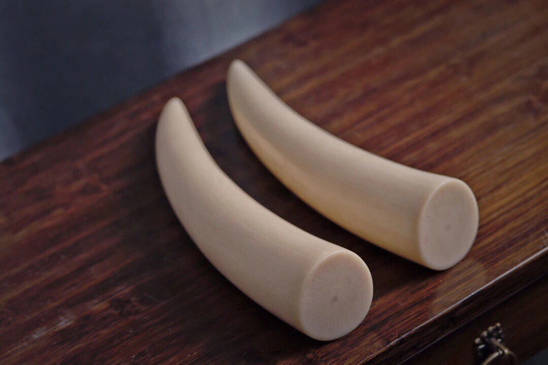 保真天然猛犸象牙摆件乳牙尖素牙雕刻摆件办公室文玩牙雕饰品直播间选