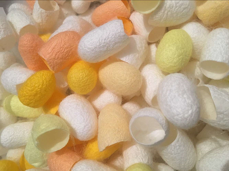 天然彩色蚕茧美肤美容茧蚕茧壳洗脸蚕丝球学生手工diy装饰品精选优质