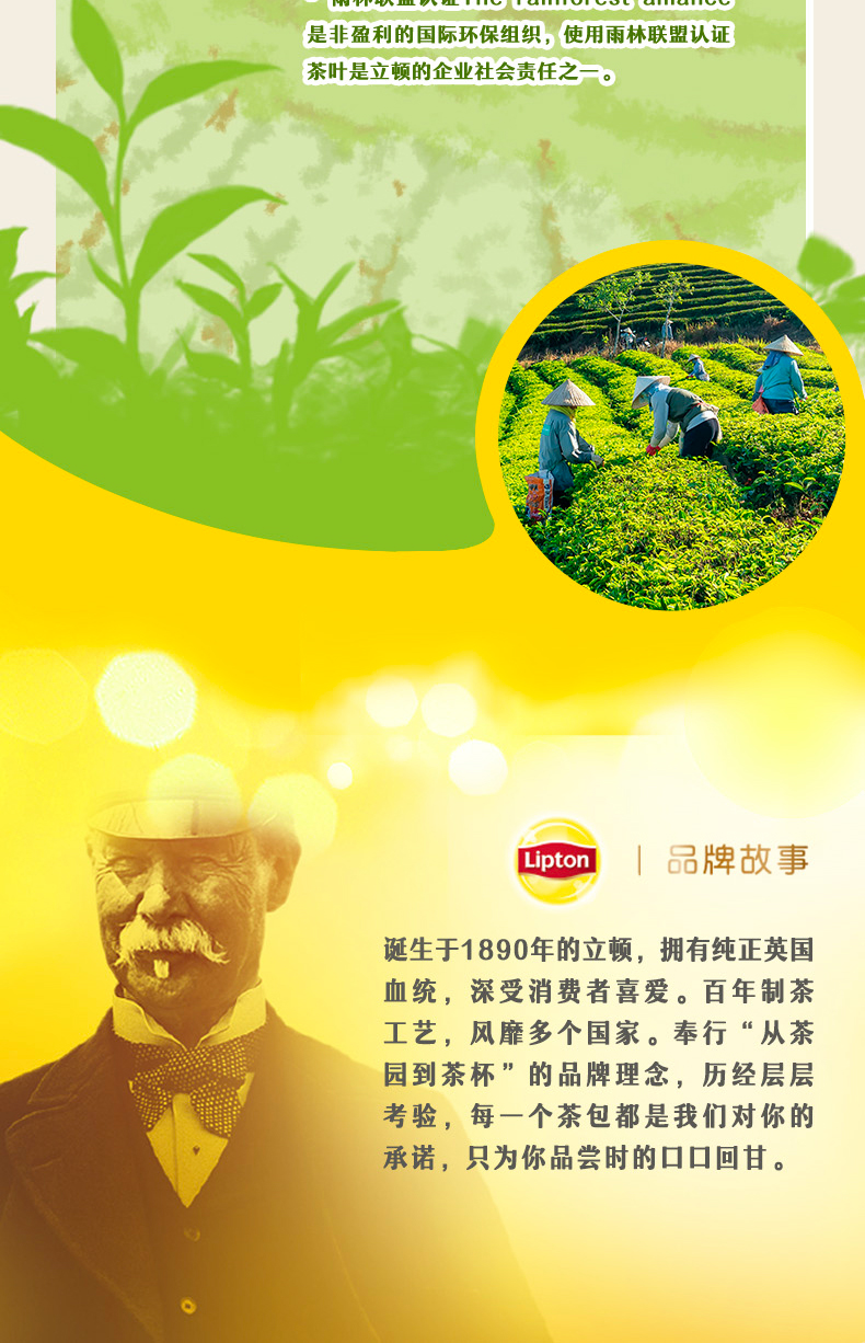 lipton立顿红茶包黄牌精选袋泡茶100包斯里兰卡红茶粉奶茶专用