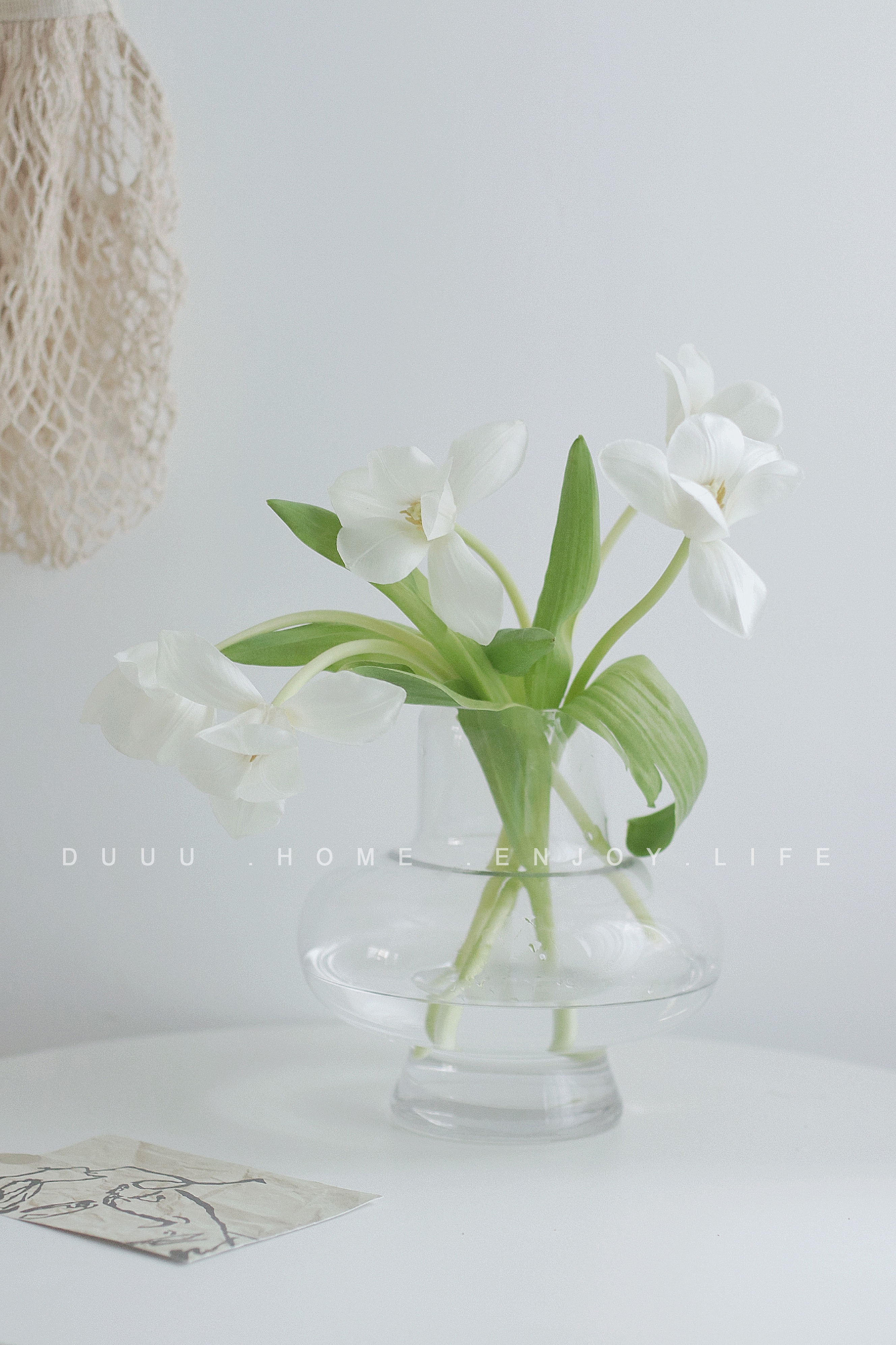 duuu现代简约郁金香玻璃花瓶客厅餐桌样板间小众花器家居摆件fenghou