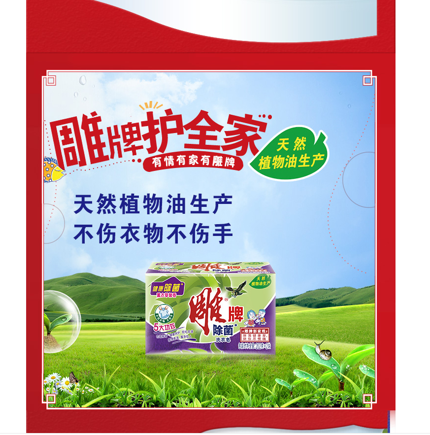 雕牌 薰衣草香洗衣皂202g*2块