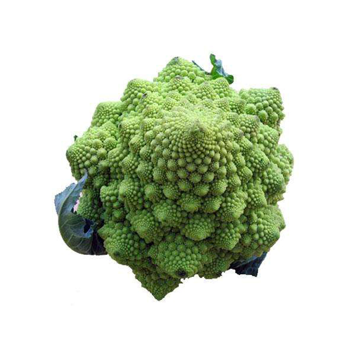 罗马花菜4斤宝塔菜绿塔花椰菜新鲜蔬菜产发