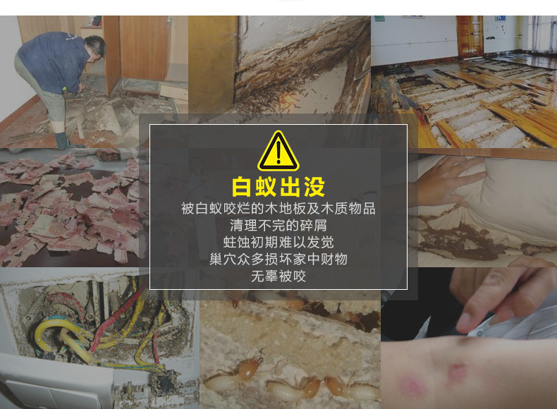 白蚁杀虫剂全窝端家用白蚁药水诱杀防治白蚂蚁灭白蚁喷剂两瓶装100ml