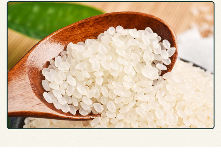 查干湖大米 查干湖明珠臻品圆粒香米正宗东北吉林大米粳米生态米10斤