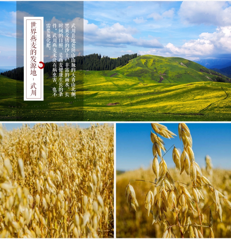 内蒙古燕麦米全胚芽米五谷杂粮米去皮莜麦米雀麦新米500g