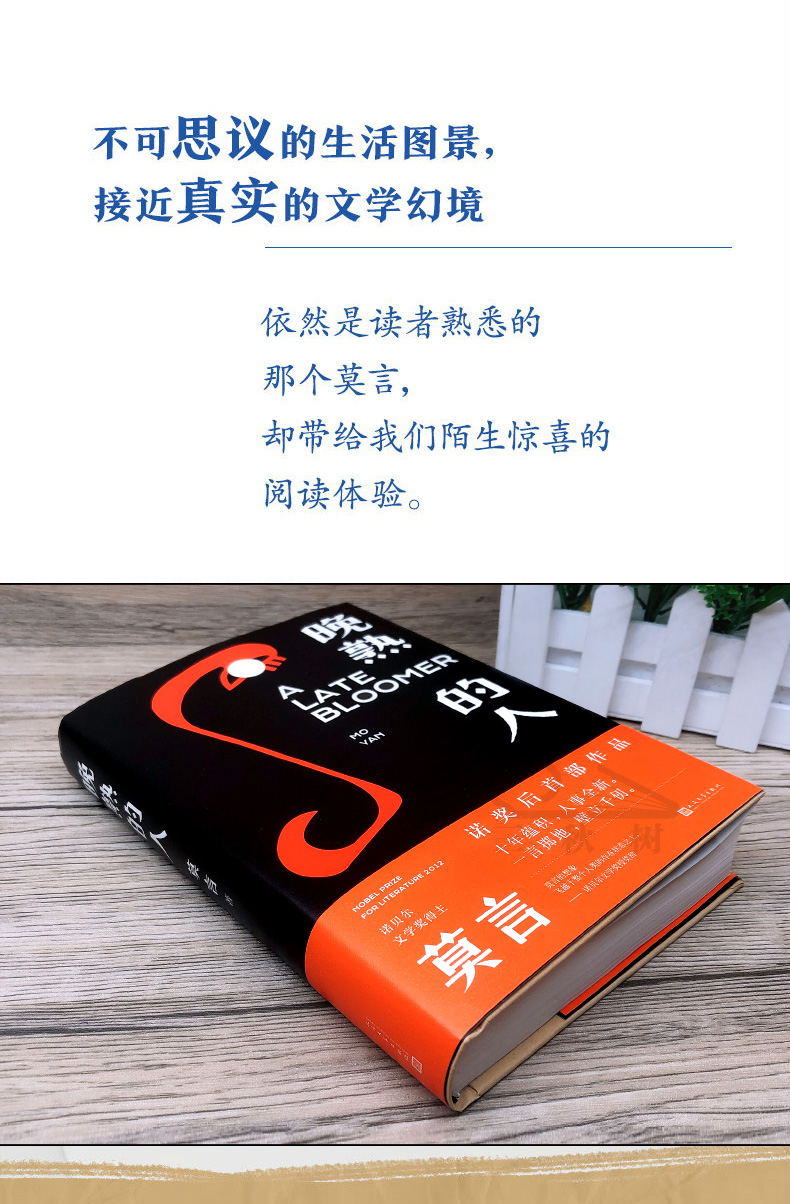 【颜系图书】莫言新书 晚熟的人正版 莫言获得诺贝尔文学奖后小说