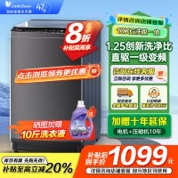 小天鹅 10KG波轮洗衣机全自动 直驱变频 10公斤大容量 创新深层超净洗 一键智洗 除菌除螨TB100V26DT