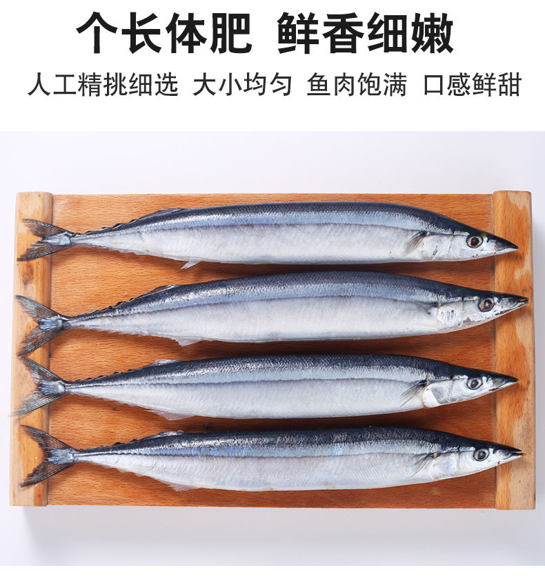 VAKADA鱼类新鲜冷冻秋鱼深海海鱼鲜鱼海鲜烧烤鲜活冷冻秋刀鱼无冰衣5斤
