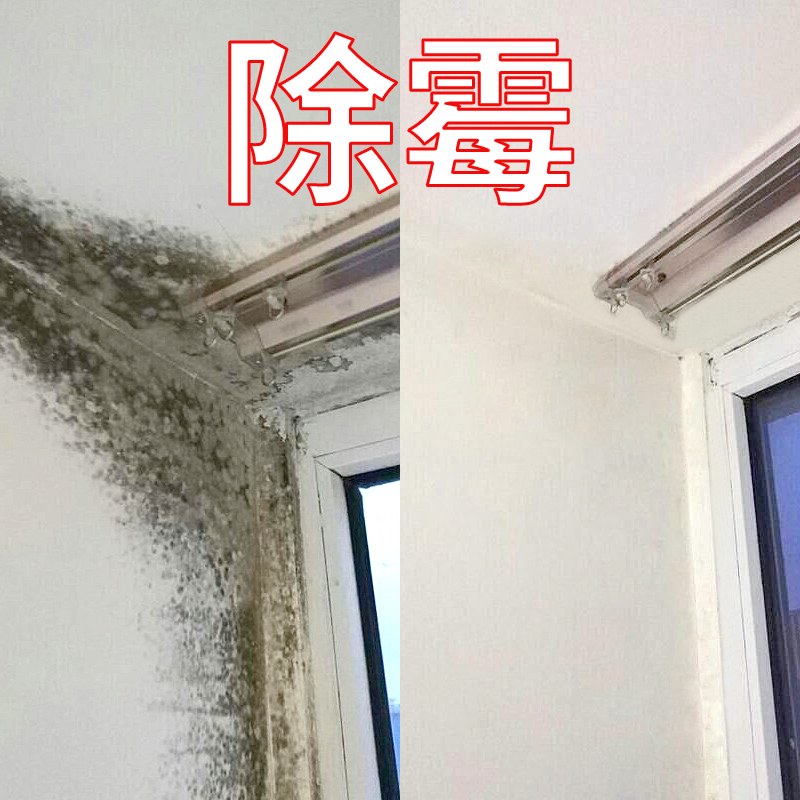 酶加净墙体除霉剂生物酶喷剂霉立净墙壁发霉墙面翻新去污翻新处理
