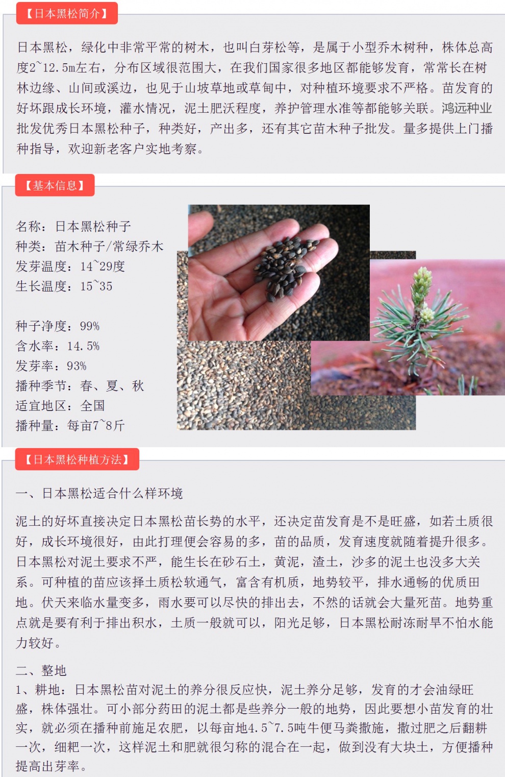 南城首府园艺用品优友新采黑松种子日本黑松种子三河千寿丸东北山东黑松树种子 价格图片品牌报价 苏宁易购南城首府园艺旗舰店