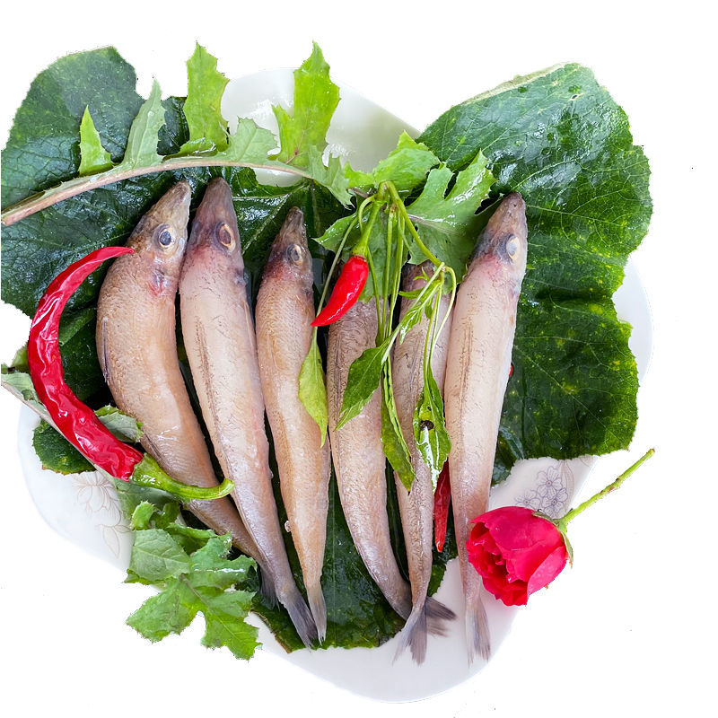 赛卡伊鱼类 赛卡伊 新鲜沙丁鱼冷冻沙尖鱼中大海鲜金色沙钻鱼国产天然