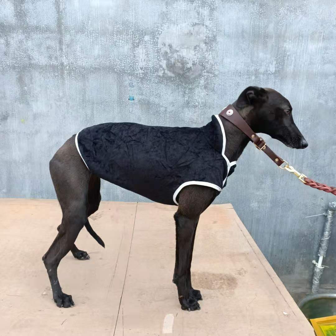 肩高红色格力犬狗衣服惠比特狗棉服细狗加绒加厚狗衣服格惠灵缇犬狗