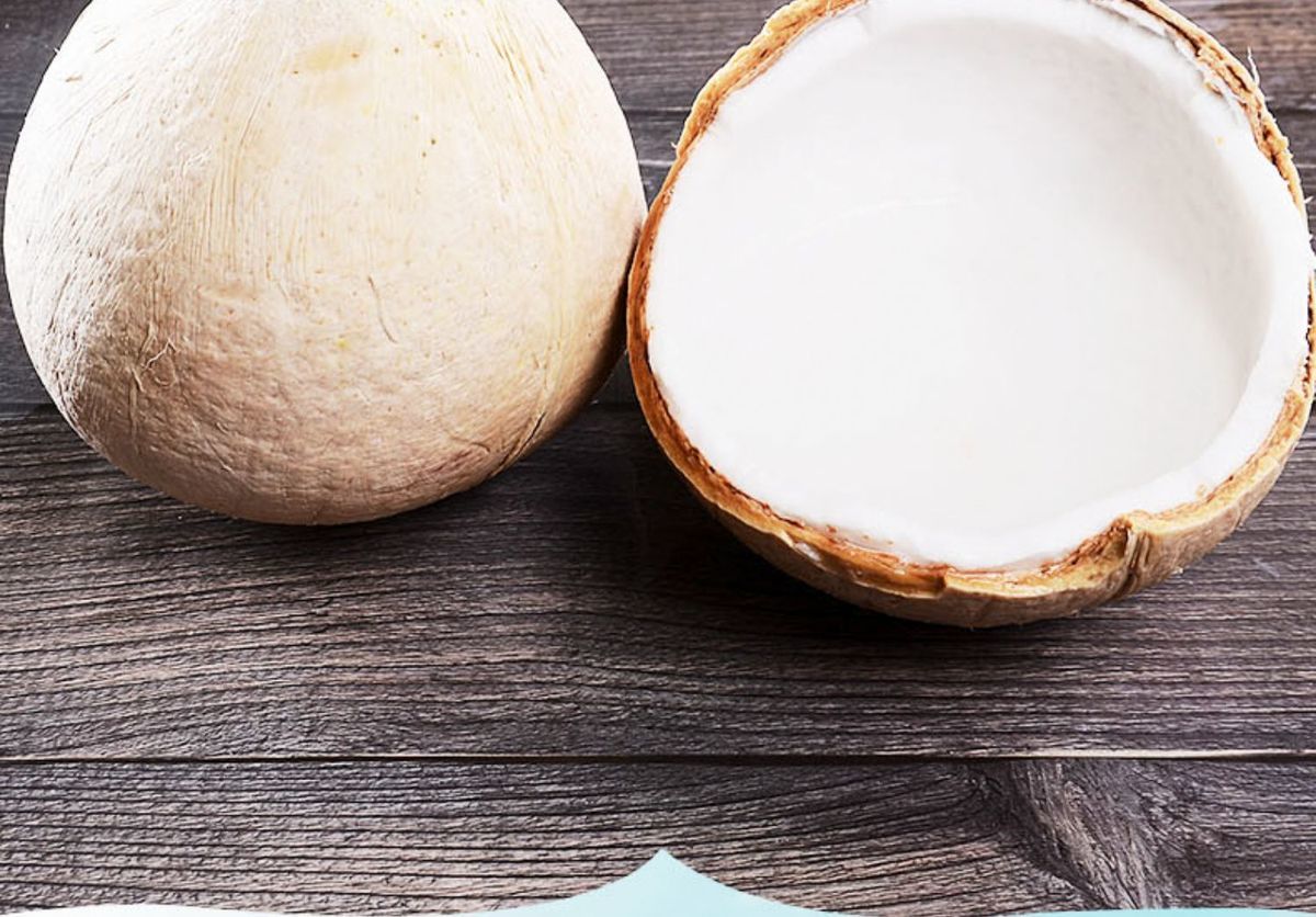 赛卡伊海南椰白奶香新鲜椰青4颗白椰子水果椰青小椰子煲汤