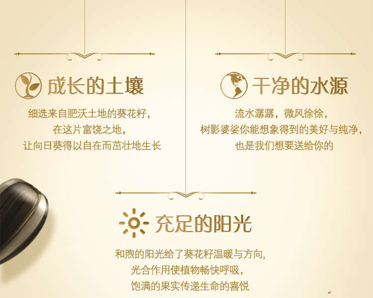 金龙鱼纯正葵花籽油5L