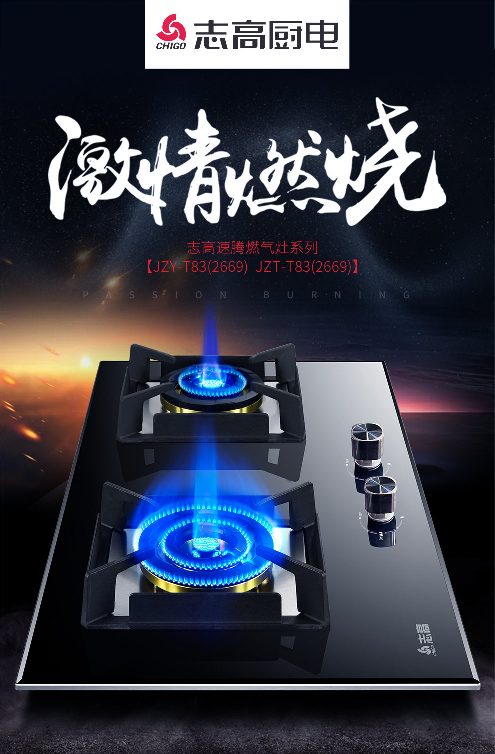 志高chigojzyt832669双灶眼燃气灶大火力嵌入式家用双灶脉冲点火燃气