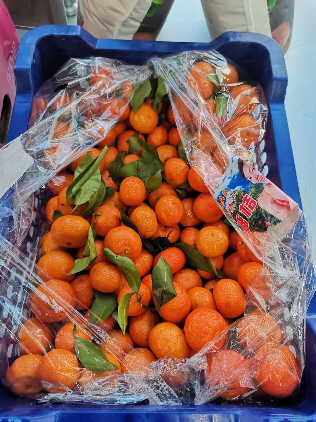 【砂糖橘线下自提】砂糖橘7.5公斤含箱【不发快递,线下自提】