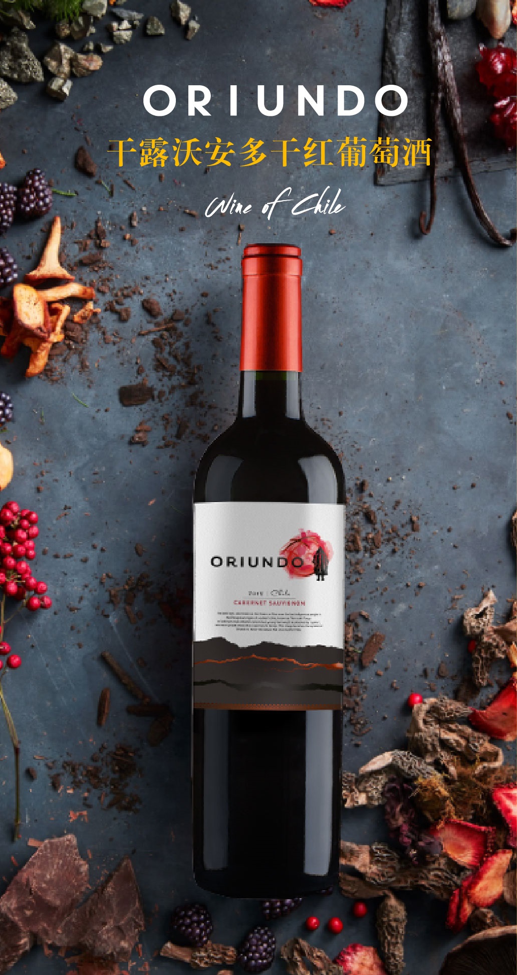统一企业统一葡萄酒智利原瓶进口干露沃安多赤霞珠干红葡萄酒750ml6支