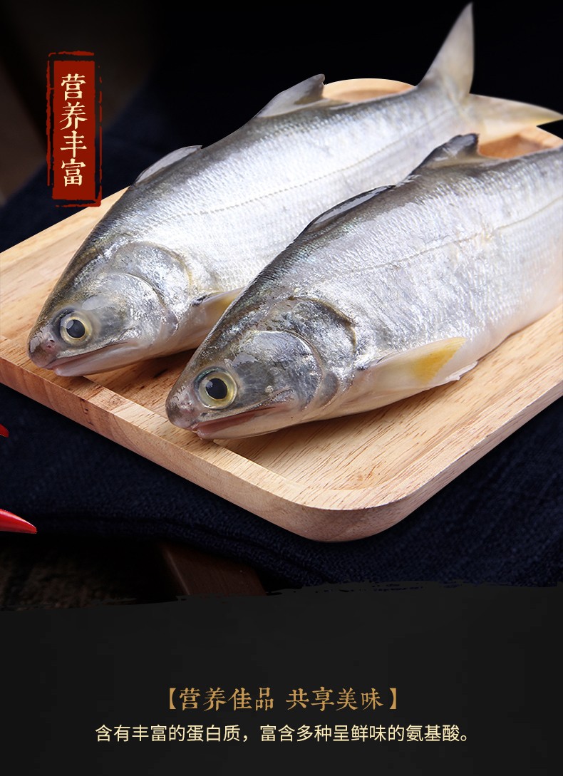 四海生鲜东山岛自然海捕午鱼马友鱼500g午笋杀好去肚去腮洗净新鲜海鲜