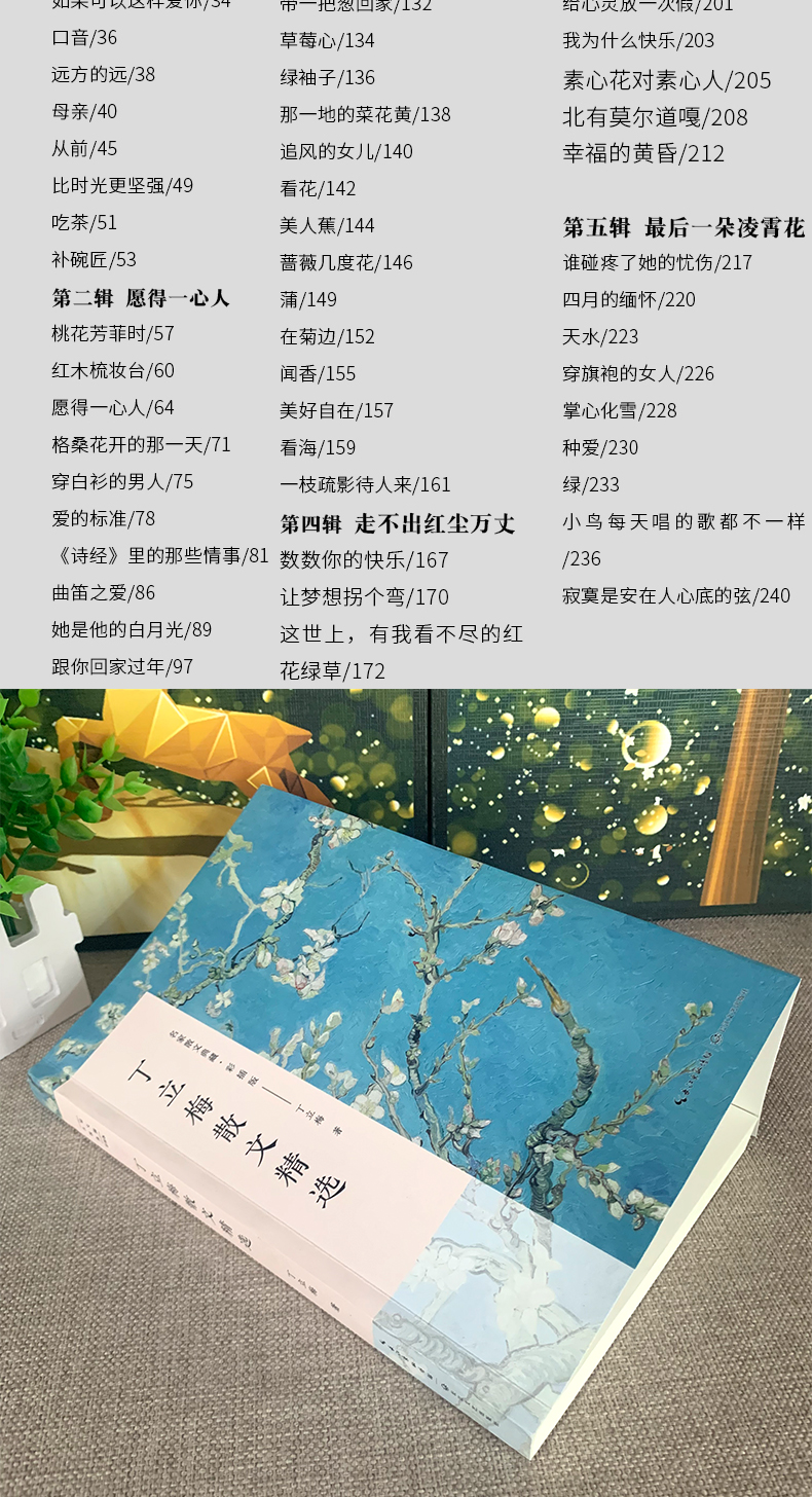 丁立梅散文集正版丁立梅的书经典散文精选小说文集名家作品书籍比时光