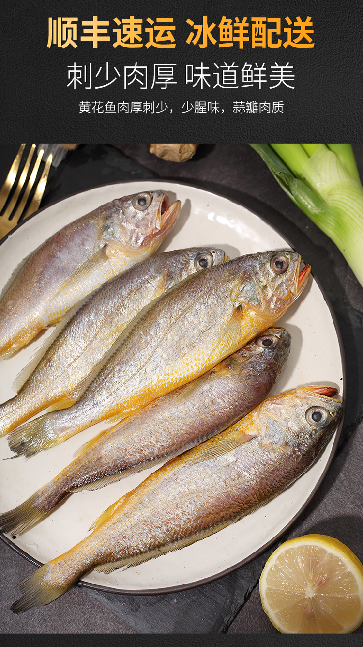 彦伯舟山小黄鱼新鲜冷冻东海海捕小黄花鱼深海海鲜水产冷冻黄鱼500克