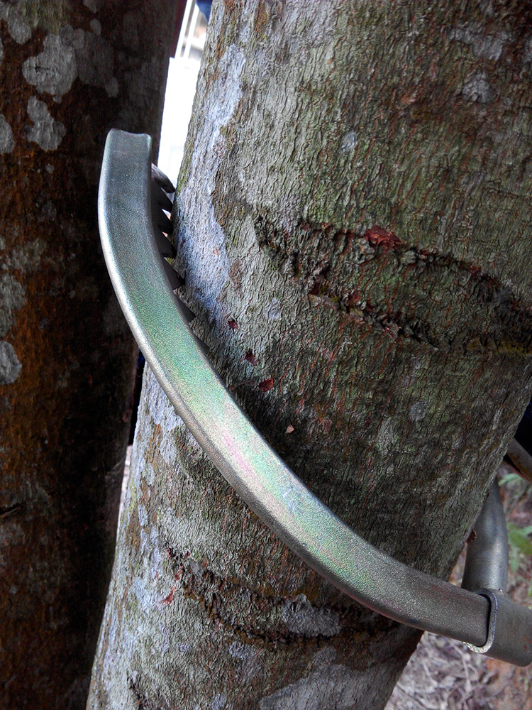 加厚爬树爬树脚扣爬树工具爬树安全带木杆脚扣上树