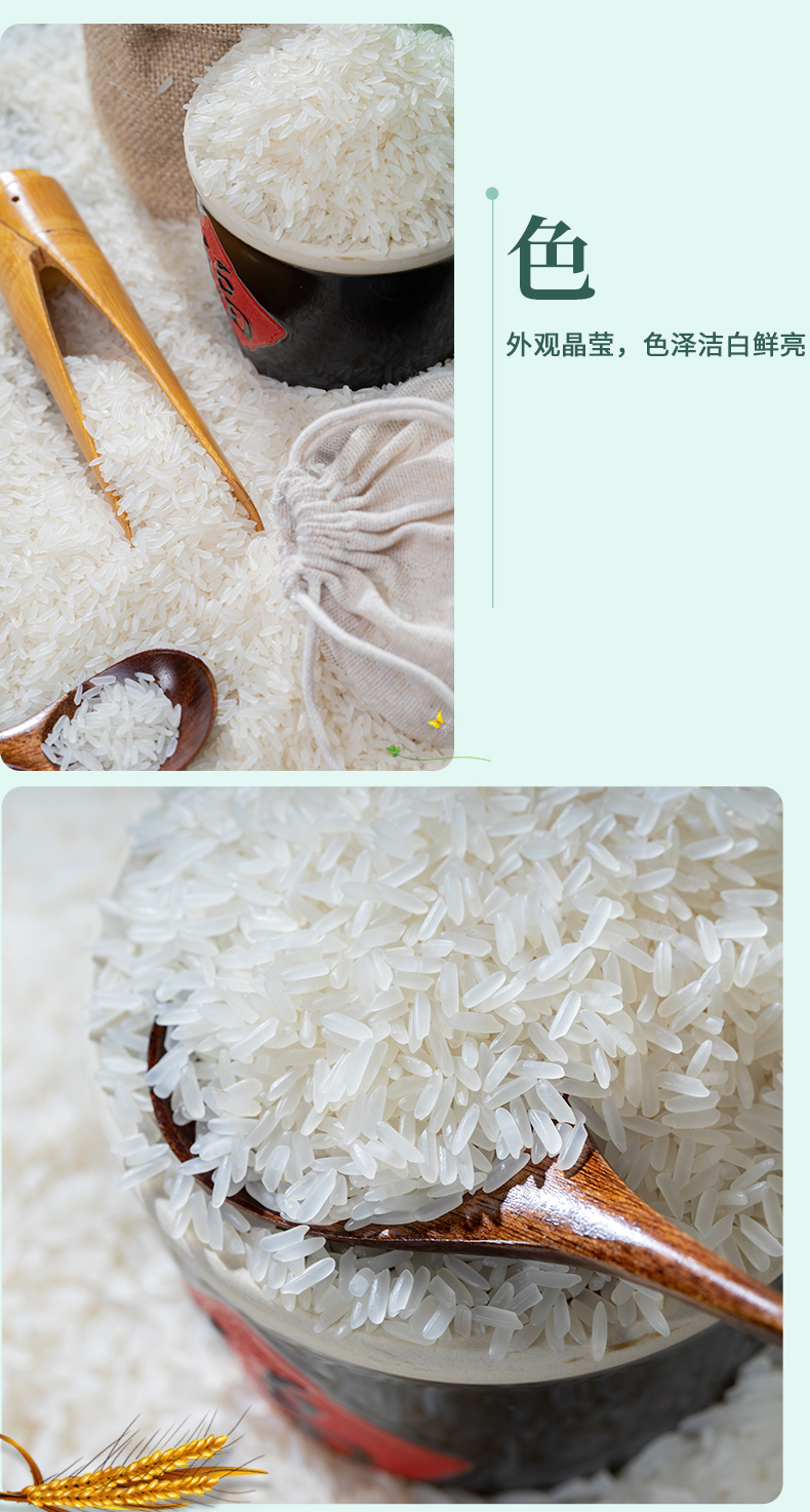 当季新米上林金丝苗米1kg真空袋装企业活动礼品大米2斤年货送礼