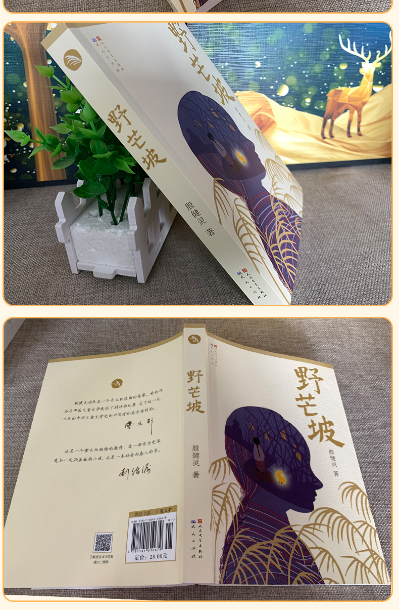 野芒坡殷健灵儿童文学长篇力作三四五六年级小学生课外书籍男孩成长