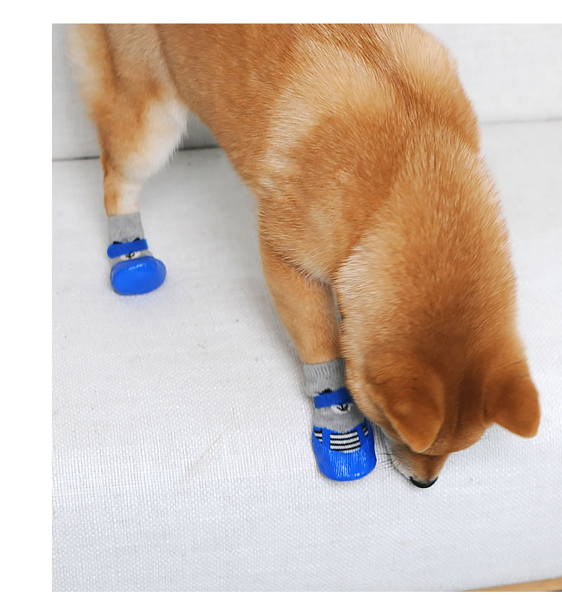 贝鸟 狗狗袜子脚套泰迪小狗防抓防脏比熊法斗防滑猫咪宠物鞋猫鞋子爪