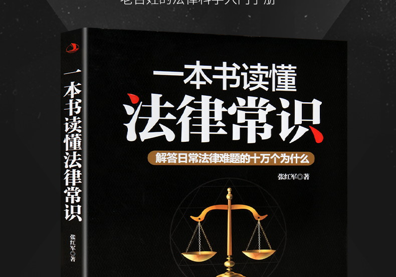 鵬辰正版正版一本書讀懂法律常識法律基礎知識書籍法律常識全知道法學