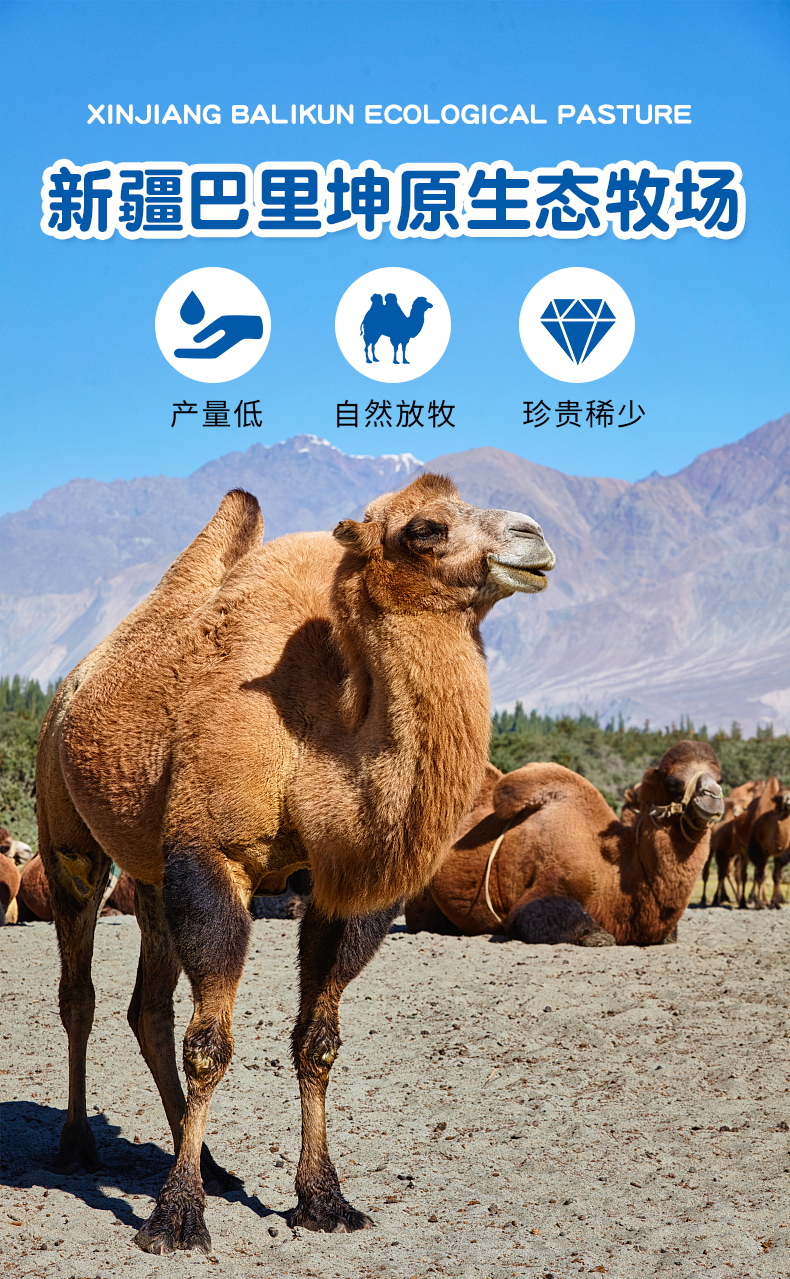 不老奇迹骆驼奶粉新疆活性免疫球蛋白配方骆驼乳粉官方正品纯驼奶