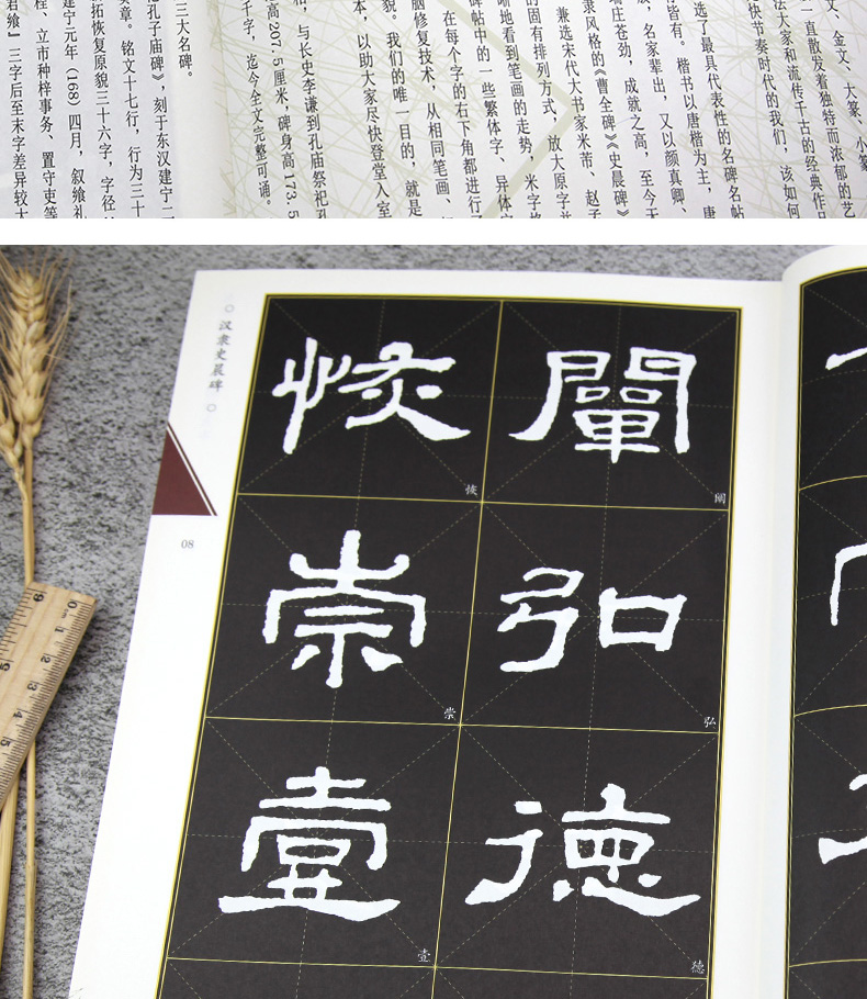 米字格放大版汉隶史晨碑名家墨宝选粹临帖大开本武鄂编著中国书法毛笔