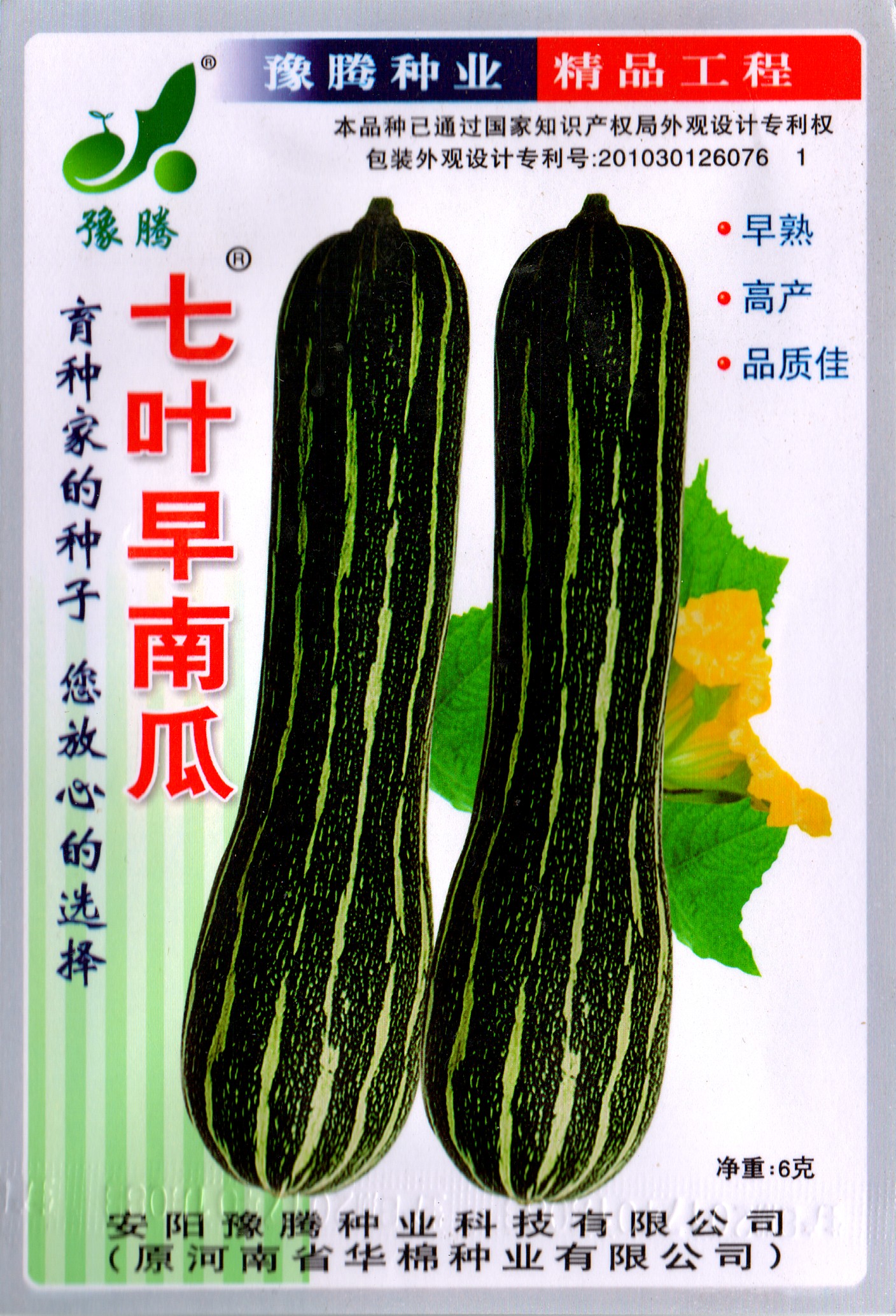 伟祺园艺七叶早南瓜种子蔬菜种子食用瓜果种子家庭种植