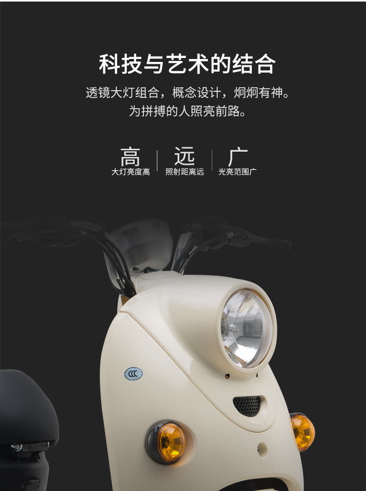 爱玛aima大迪欧豪华电动轻便摩托车60v20ah大电池长续航时尚电轻摩