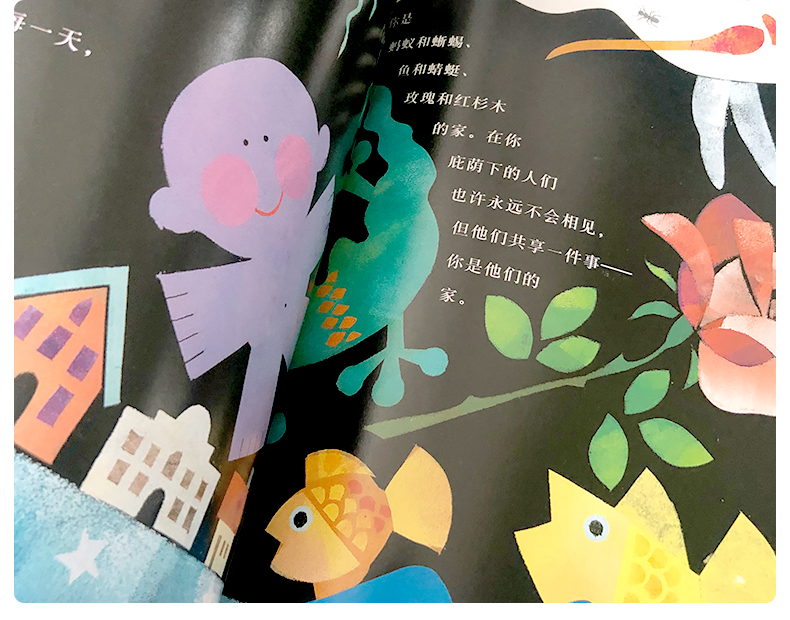 正版地球之舞精装硬壳硬面绘本信谊幼儿文学奖作品儿童绘本369岁幼儿