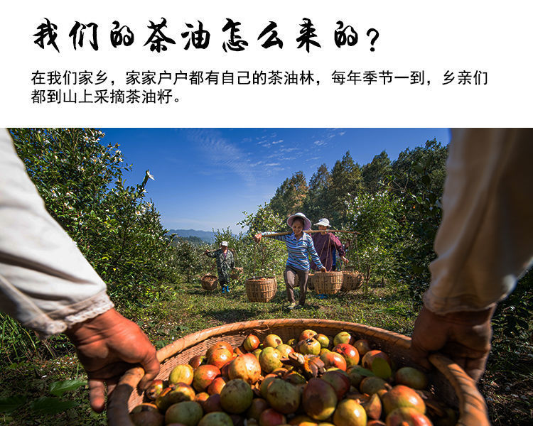 赣南茶油野生山茶油婴儿护肤按摩油新生儿用品宝宝头垢红屁屁外用50ml