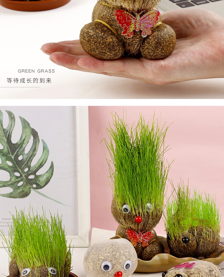 抖音同款草头娃娃创意迷你小绿植室内盆栽植物幼儿园儿童小礼物