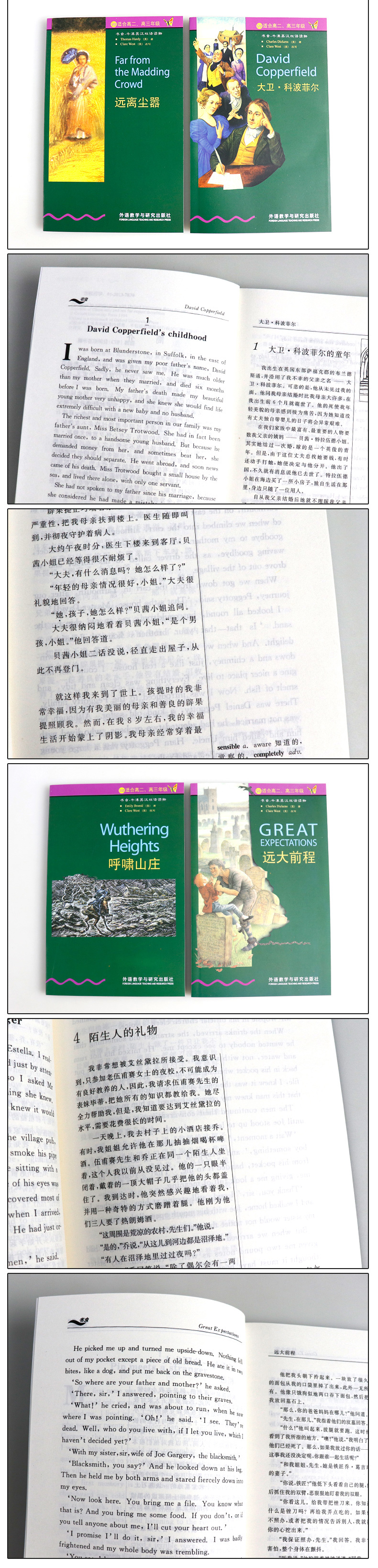 【颜系图书】书虫5级 牛津英汉双语读物 本盒共8册 适合高二高三年级