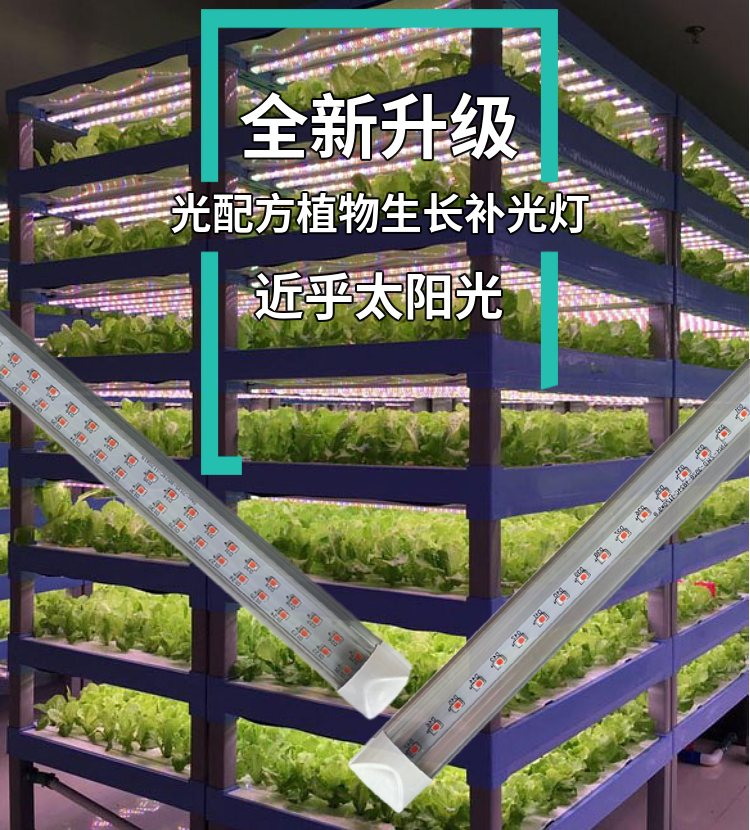 led红蓝白植物生长灯大棚蔬菜工厂室内水培叶菜全光谱t8补光灯管