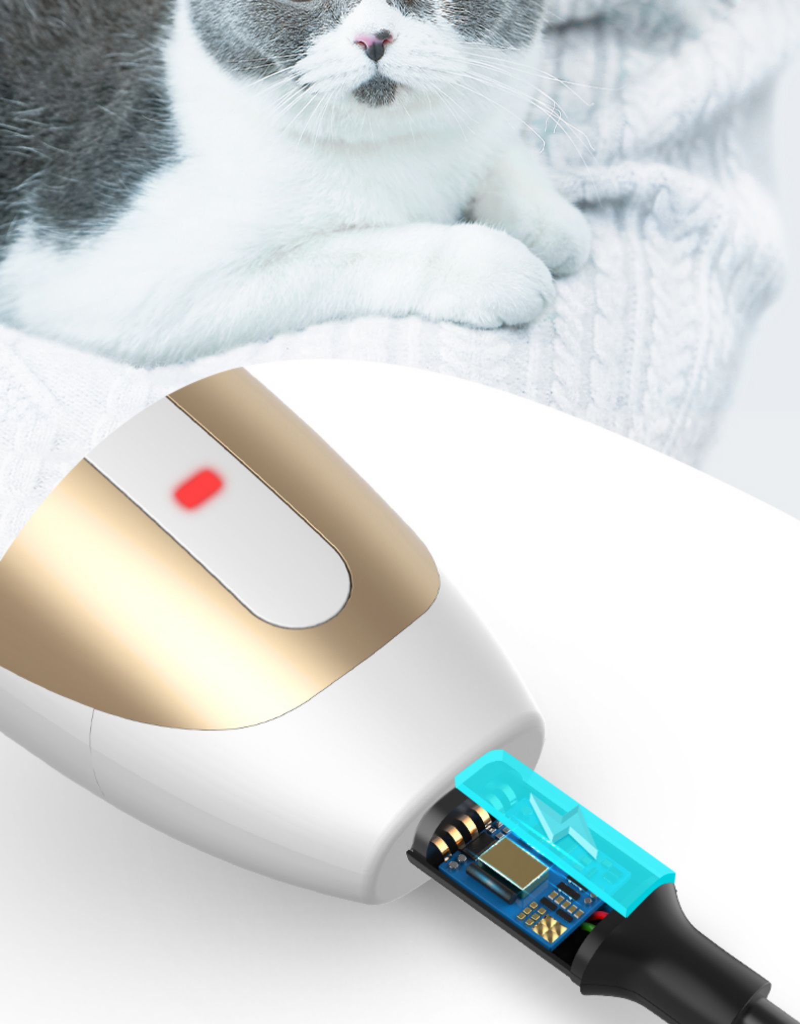 狗狗剃毛器宠物电推剪泰迪猫咪剃狗毛专业电推子修毛理发脚毛定制