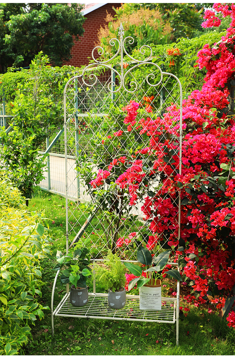 美式做旧铁艺小鸟花园植物爬藤架户外庭院铁线莲支架园艺装饰花架