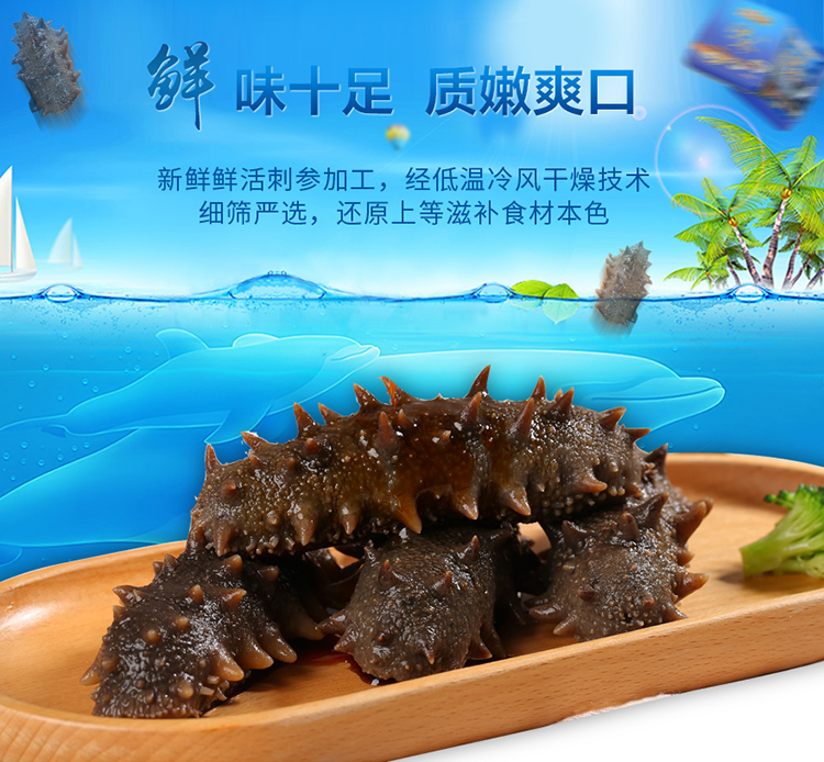 千舟岛御品纯淡干海参250g高营养干货海参刺参