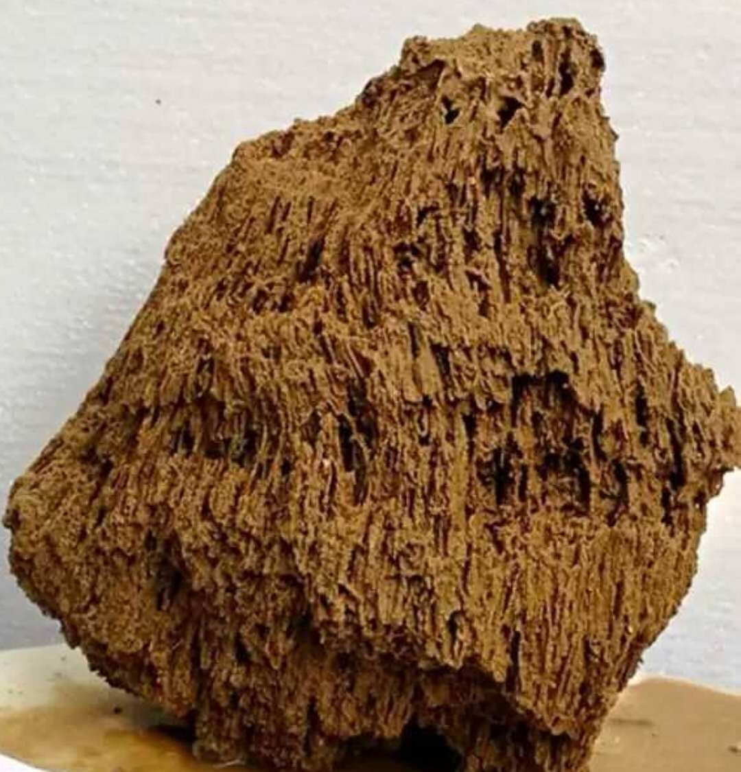 吸水石原石上水石天然假山奇石头盆景化石河滩植物麦管石水秀石毛高度