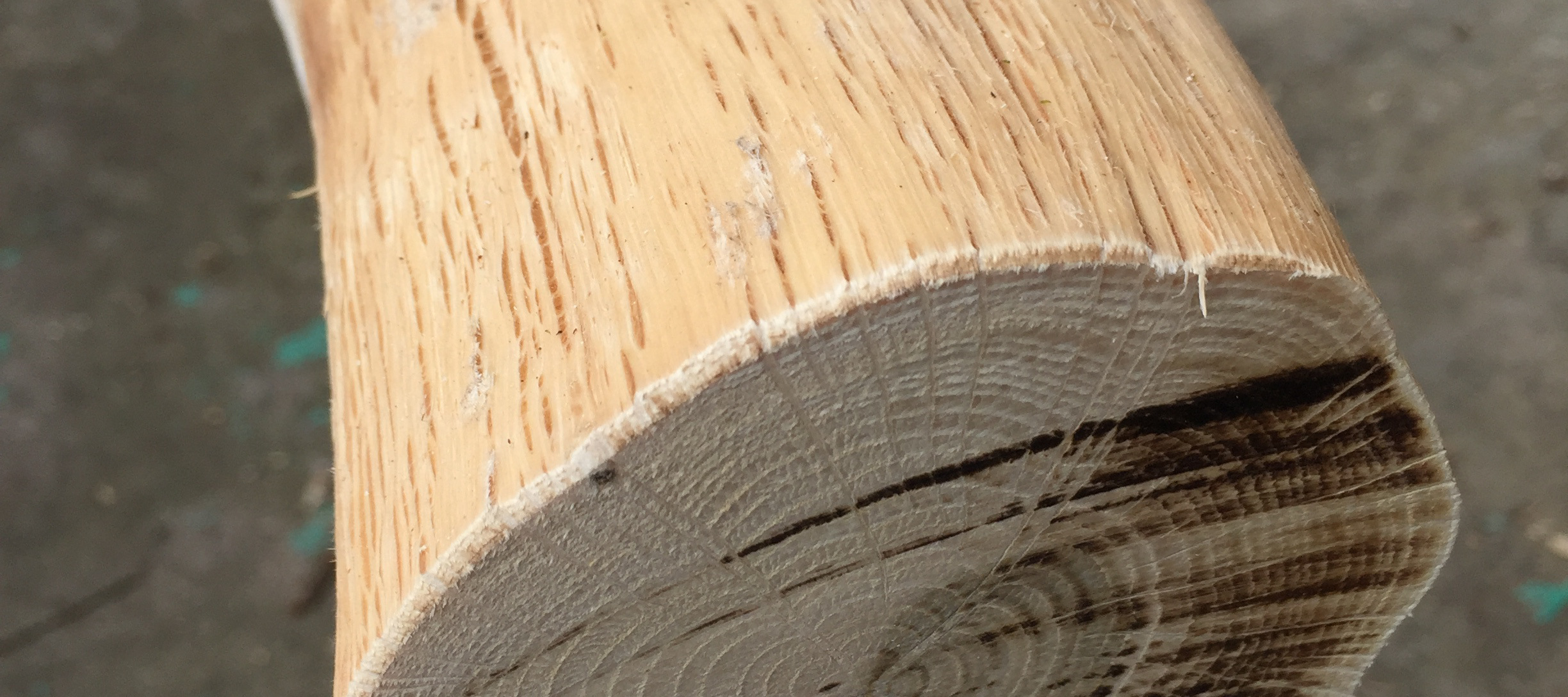 装饰树干粗树干白色树枝客厅玄关干枝造型橱窗装饰天然隔断枯木摆件