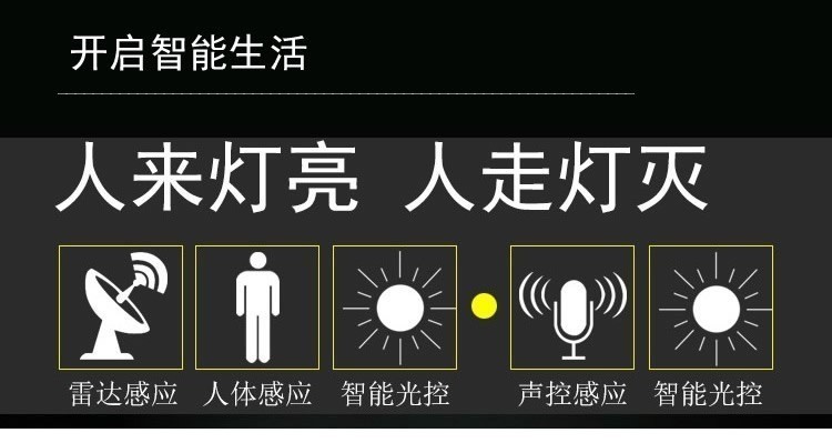 雷雷智光浪漫led雷达人体感应吸顶灯声光控灯楼道过道家用阳台车