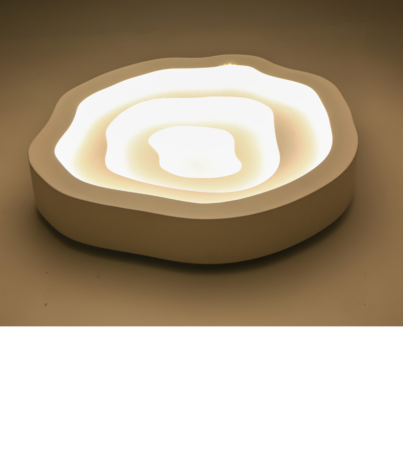 个性创意led吸顶灯家装简约异形客厅灯温馨浪漫现代书房灯餐厅灯